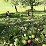 Biobauernhof Und Riederbauer * Rettenschöss