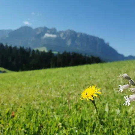 Biobauernhof Und Riederbauer Alojamento de Turismo Rural Rettenschöss