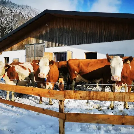 Biobauernhof Und Riederbauer Farm stay