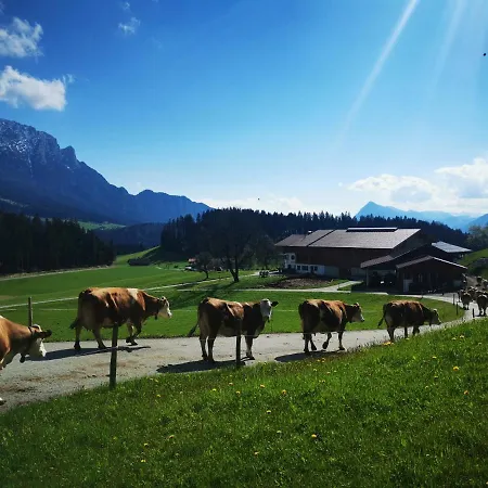 Biobauernhof Und Riederbauer * Rettenschöss