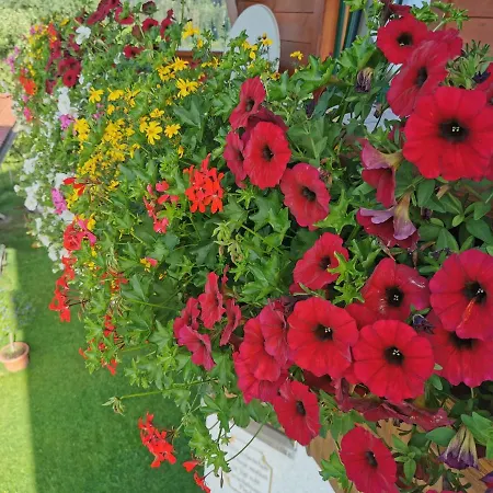 Biobauernhof Und Riederbauer