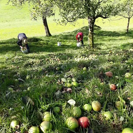 Biobauernhof Und Riederbauer * Rettenschöss