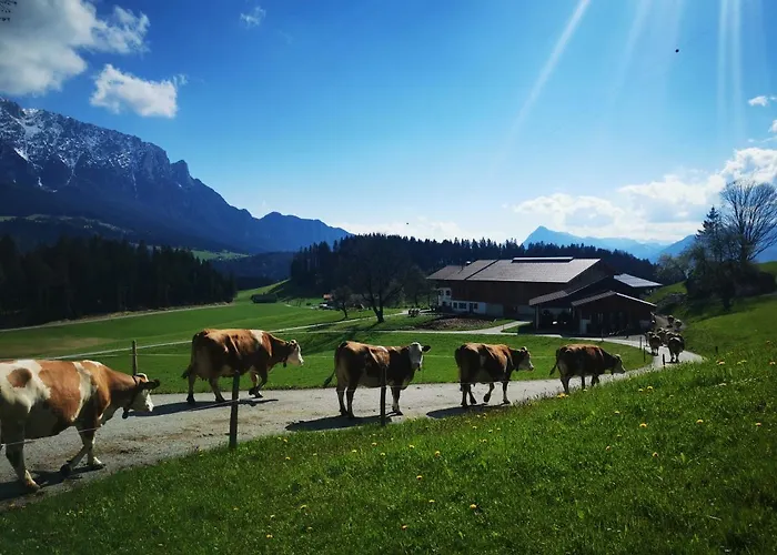 Biobauernhof Und Riederbauer * Rettenschöss