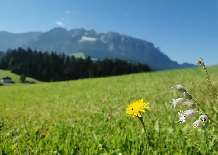 Biobauernhof Und Riederbauer Alloggio per agriturismo Rettenschöss