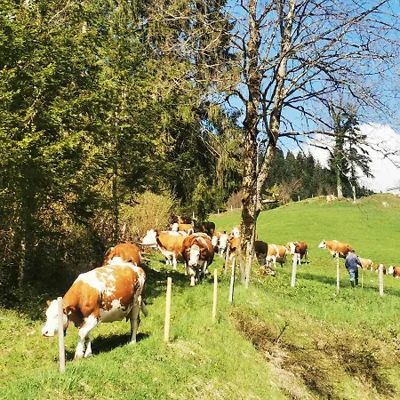 Biobauernhof Und Riederbauer Çiftlik konaklama