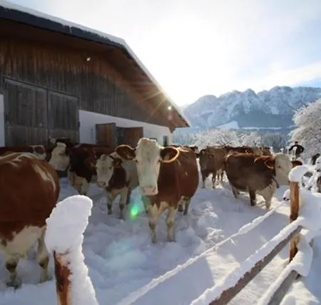 Çiftlik konaklama Biobauernhof Und Riederbauer Rettenschöss
